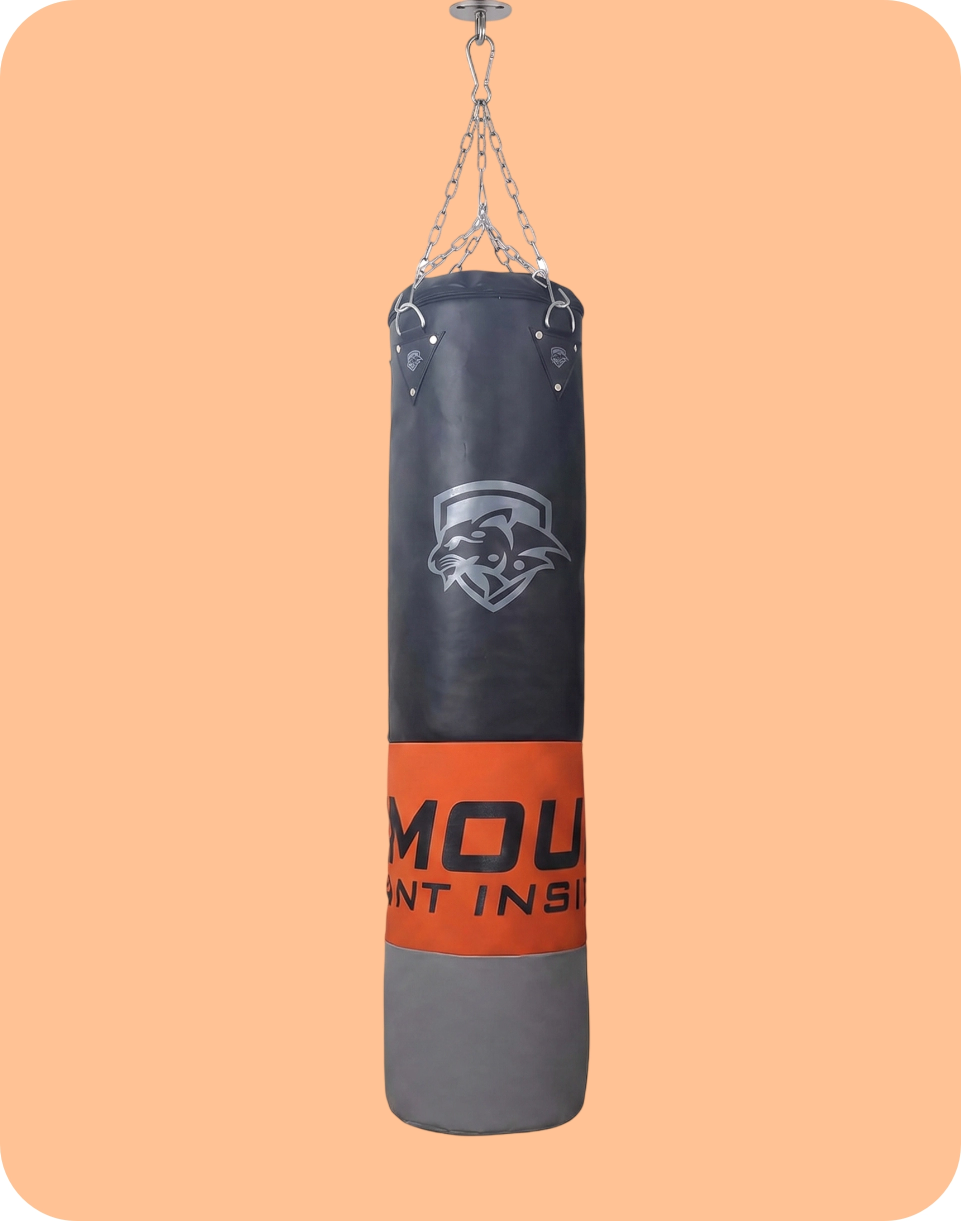Punching Bag